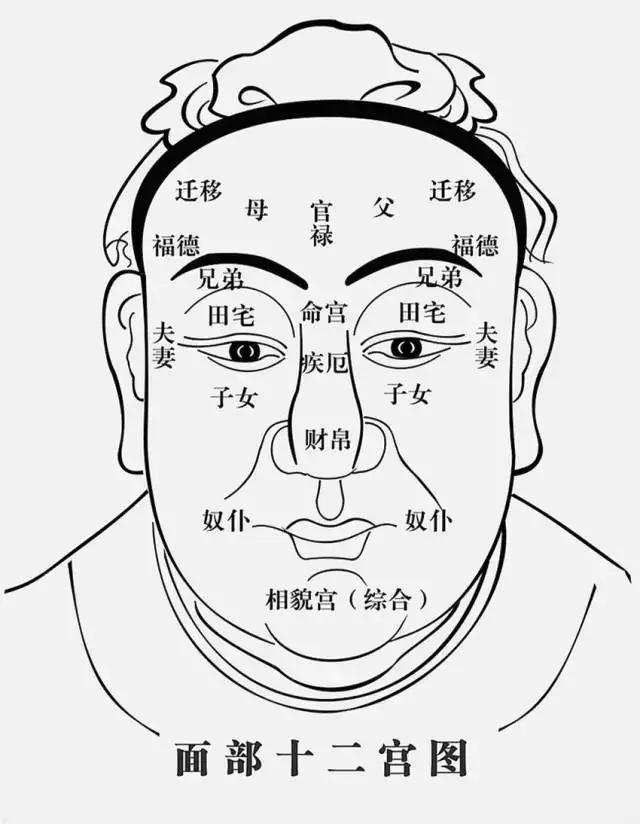 甲木代表胆,乙木代表肝,且甲乙木代表毛发与交感神经 水旺木漂,甲木